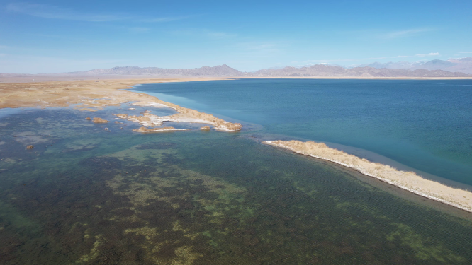 青海小柴旦湖碧绿色湖泊美景